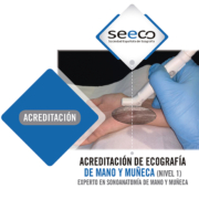 Curso Híbrido de Mano y Muñeca (NIVEL I)