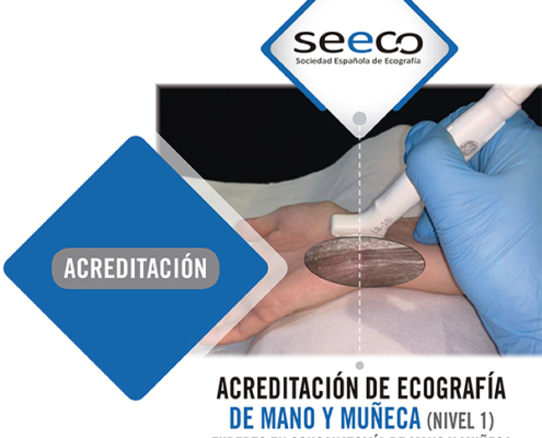 Curso Híbrido de Mano y Muñeca (NIVEL I)