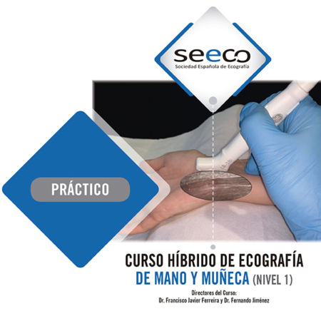 Curso Híbrido de Mano y Muñeca (NIVEL I)