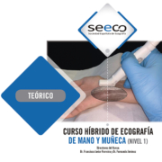 Curso Híbrido de Mano y Muñeca (NIVEL I)