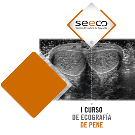 I Curso de Ecografía de Pene