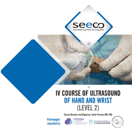 IV Course of Ultrasound of Hand and Wrist (LEVEL 2)